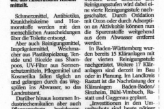 Artikel vom Badisches Tagblatt 19.8.2019