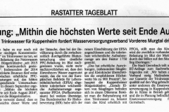 Artikel vom Rastatter Tagblatt 13.11.2019
